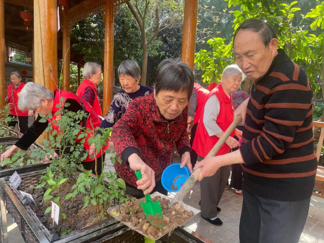 耶！养老院里的开心农场