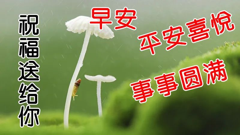 早上好温馨问候语动态图片合集 祝福送给你，平安喜悦，事事圆满图片