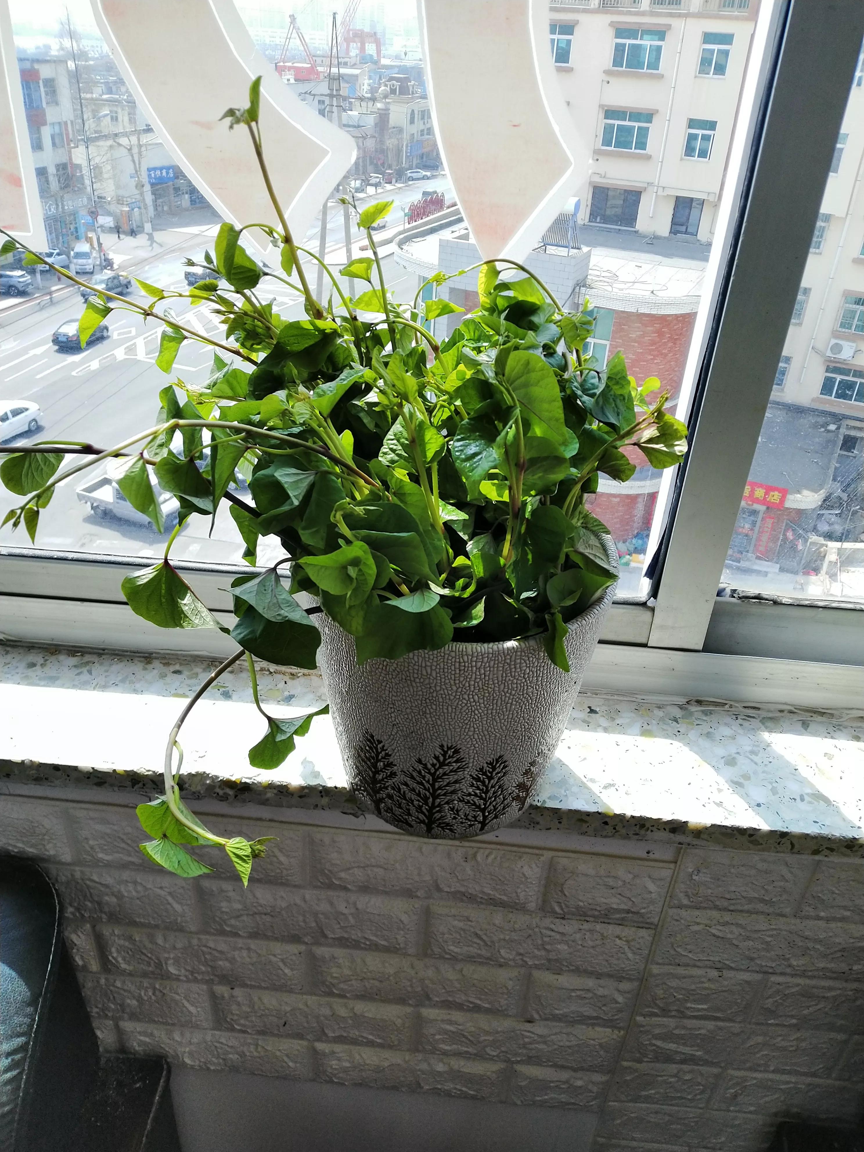 律师起草协议书多少钱（律师在与客户客户就行交易时应当让客户开价）