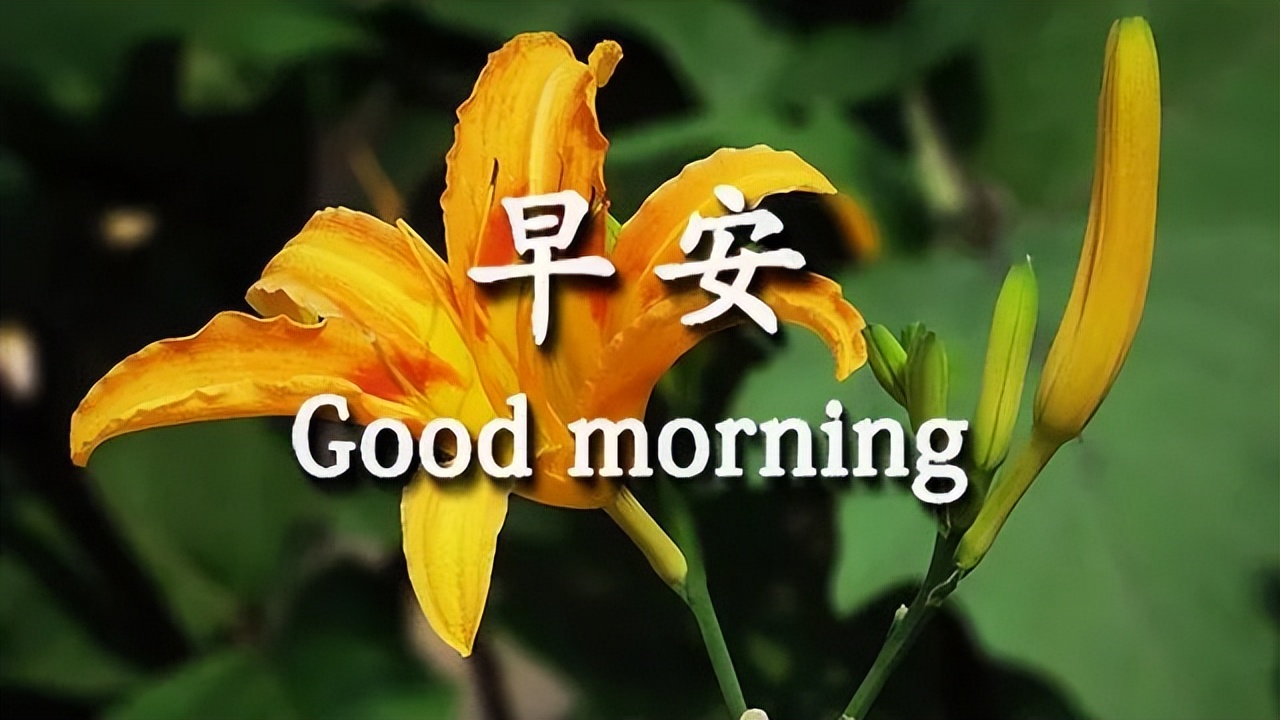 周四美丽的早上好表情包图片精美更新 愿你笑颜开，吉祥平安图片