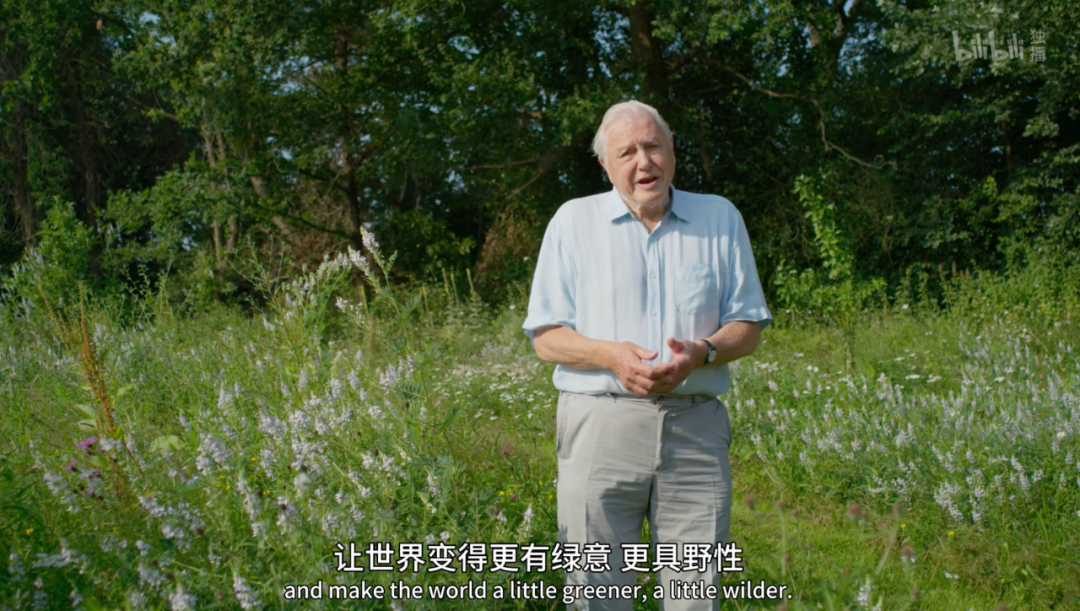 豆瓣第一电影