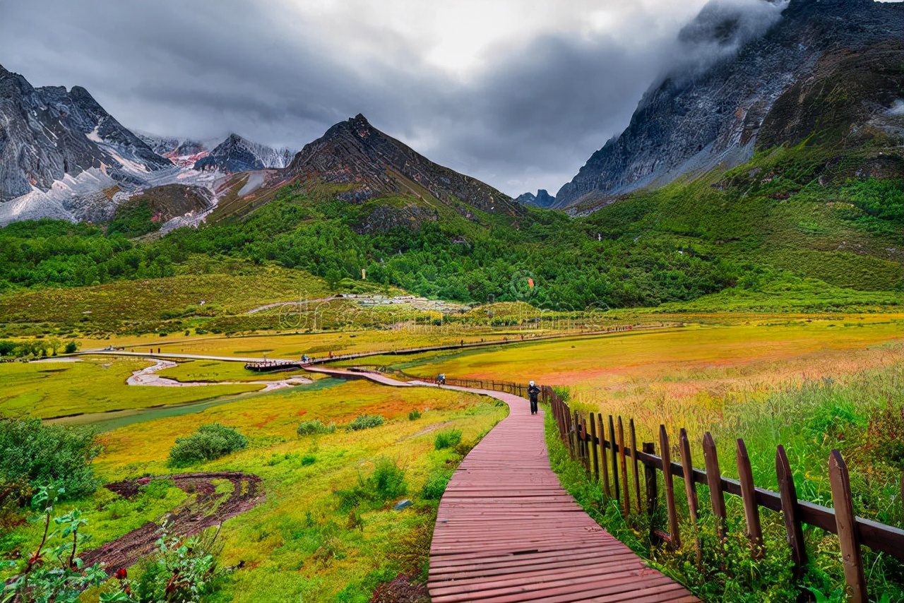 歧路亡羊告诉了我们一个什么道理？