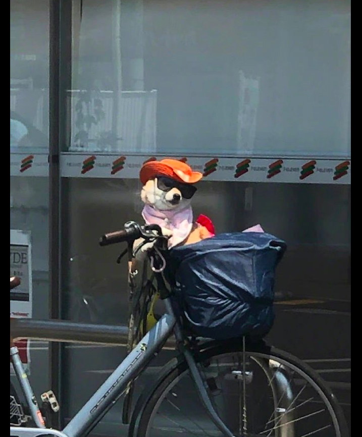 狗狗戴了帽子和墨镜，坐在自行车上非常有大佬风范，高攀不起呀