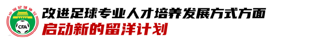 中国足球与世界杯介绍(八大方面回顾中国足球近年发展：职业联赛和国家队建设远远不够)