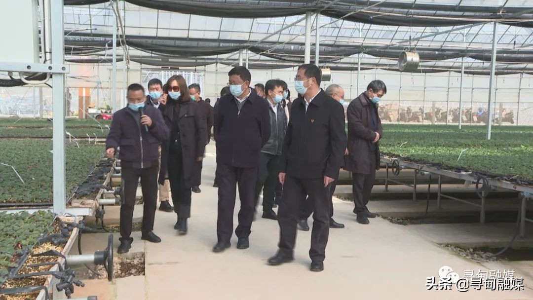 「今日要闻」市产业发展第四调研组赴我县调研