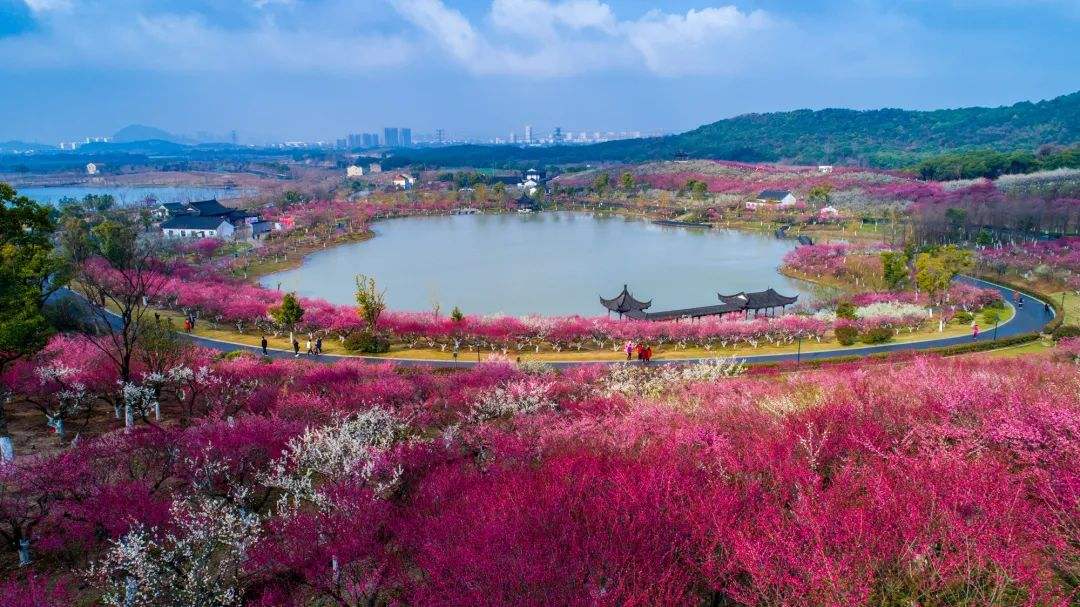 江苏十大冷门景点，人少景美好玩