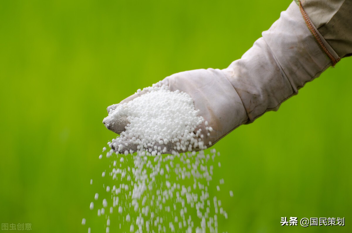 粮食危机？中国抓紧落实九个方面，给农民发放补贴，这样应对