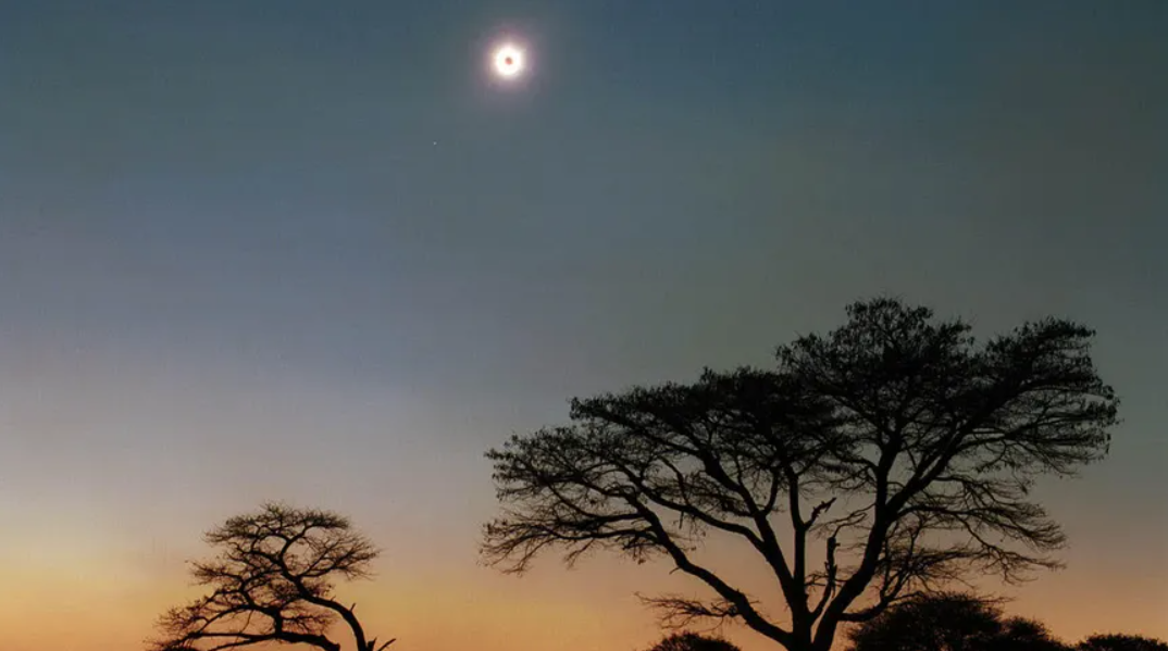 2022����ʳ�����ݣ��칷ʳ��Ϊ�λ����˲�Ը������ʲô�ط��ɼ���