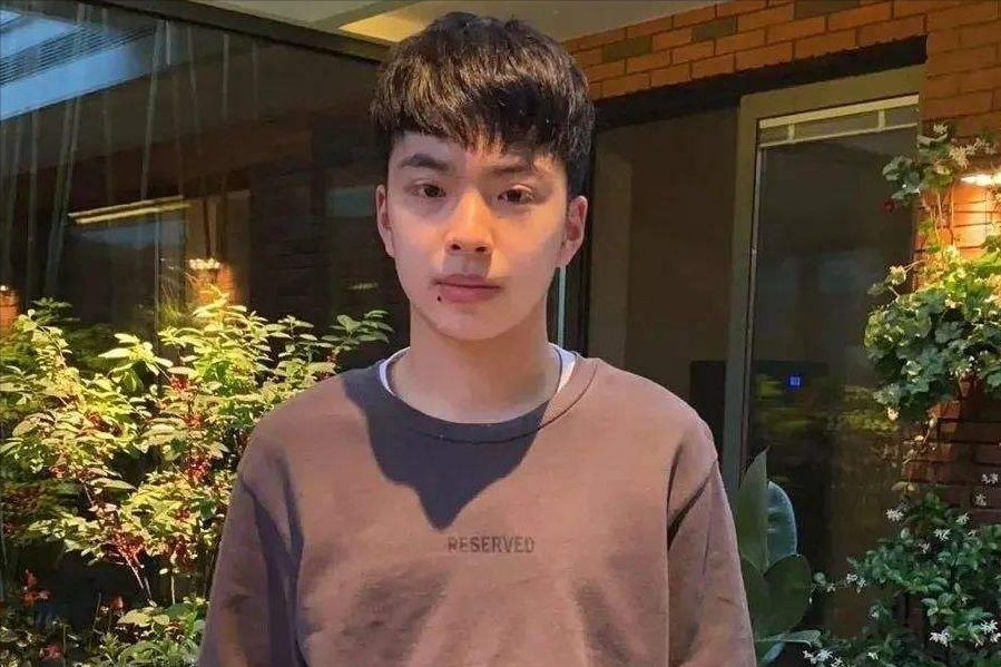 王夫也脸上胎记图片(落魄豪门王中军两儿子) - 赤虎壹号