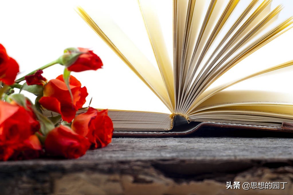 写给老年大学的诗行——通辽市老年大学《蜂巢》诗社