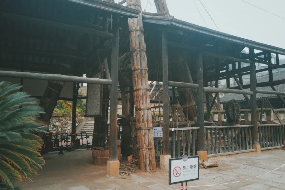 最近超火的盐帮菜之乡让我大开眼界，奇怪的知识又增加了