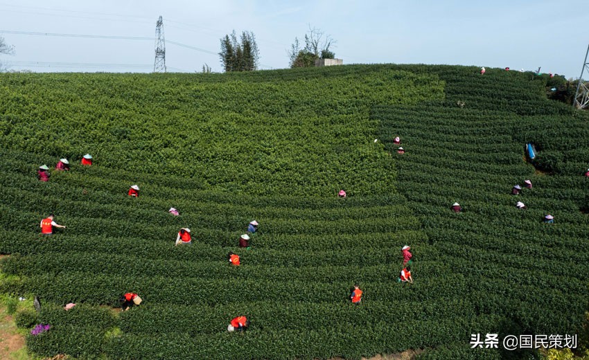 官方：鼓励有意愿农户成为家庭农场！拐点已出现，小农业是载体？