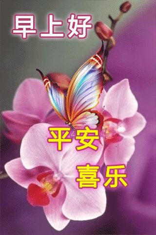 清晨早上好微信表情图片，早上好短信表情包配图，愿今天的你快乐图片