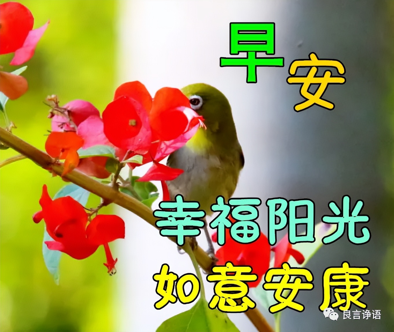 最新早上好动态表情图，早安祝福问候语大全图片