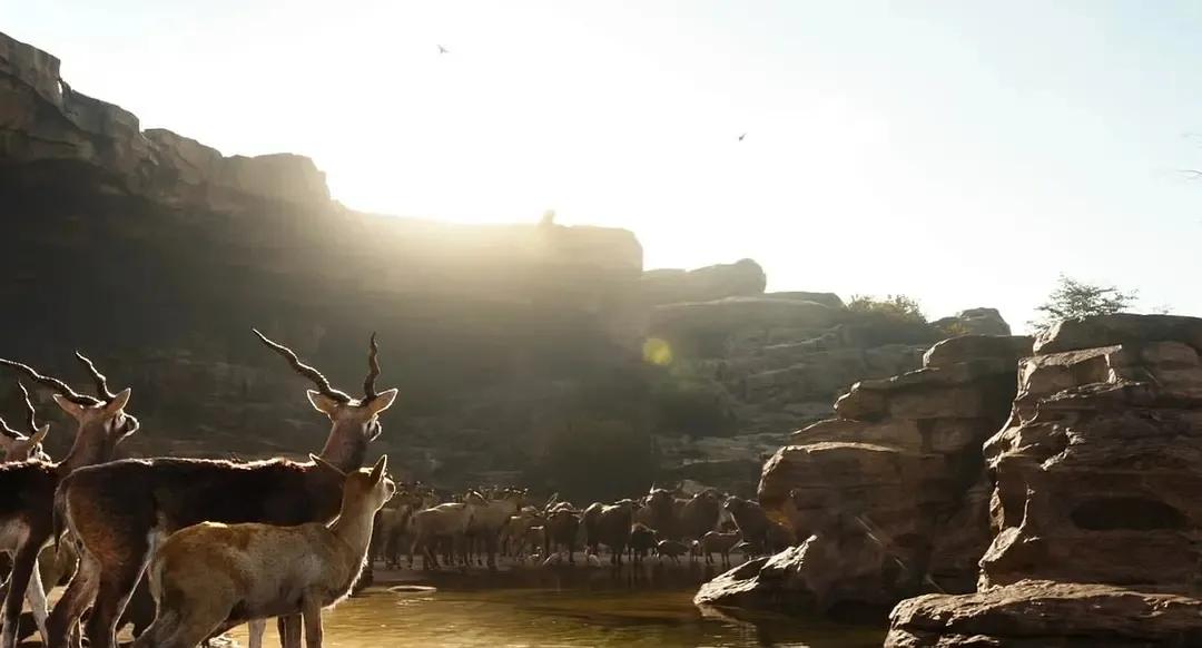 奇幻森林（电影）