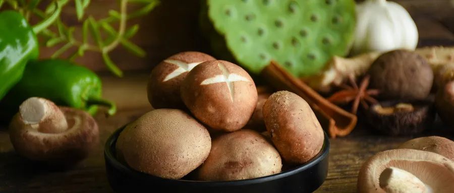 「彤菌堂」營養健康&mdash;&mdash;食用菌