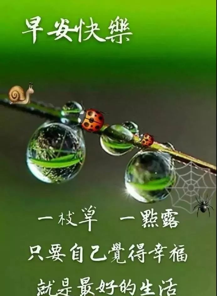 早上好动态表情图片及早晨好动图美图鉴赏 快乐的人生就是幸福图片