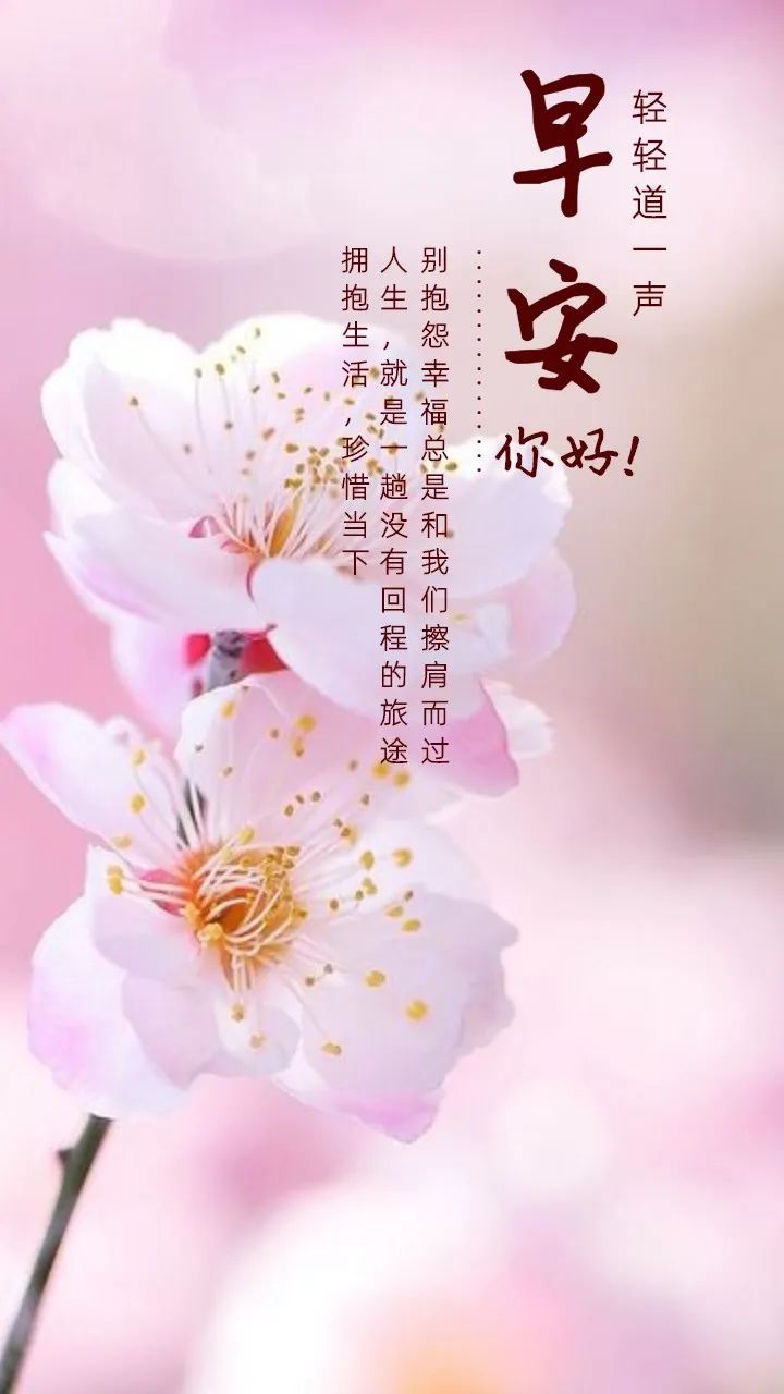 周末欢乐 早上好的问候语带图片 愿你一生被爱、一生可爱图片