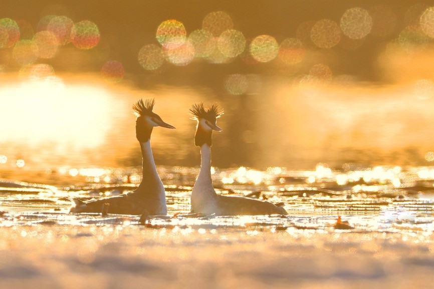 世界地球日（The World Earth Day），让我们用影像珍爱地球