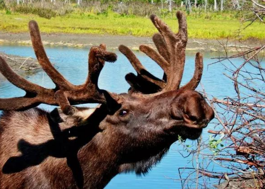 活了106岁的宋美龄：从小体弱，因癌症动过3次手术，有何高寿秘诀