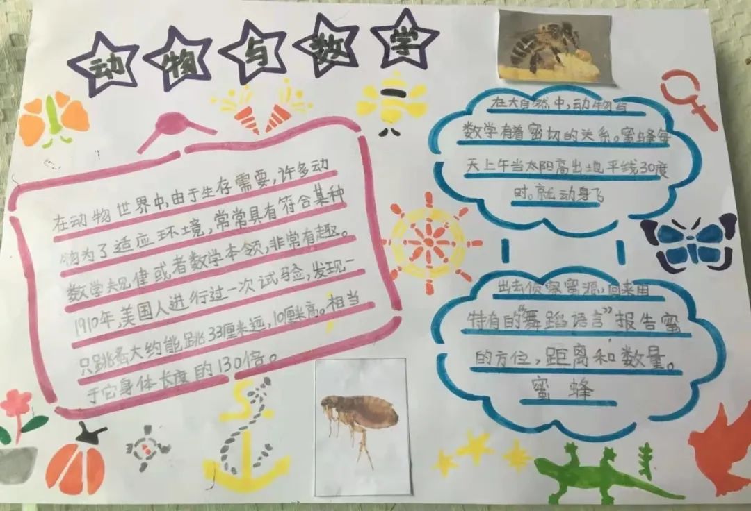 书香润泽生命 阅读成就未来｜记成都市双流区棠湖小学之书香班级