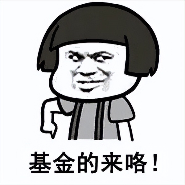 这些专业术语，90%的基民都认不全！你能认识几个？