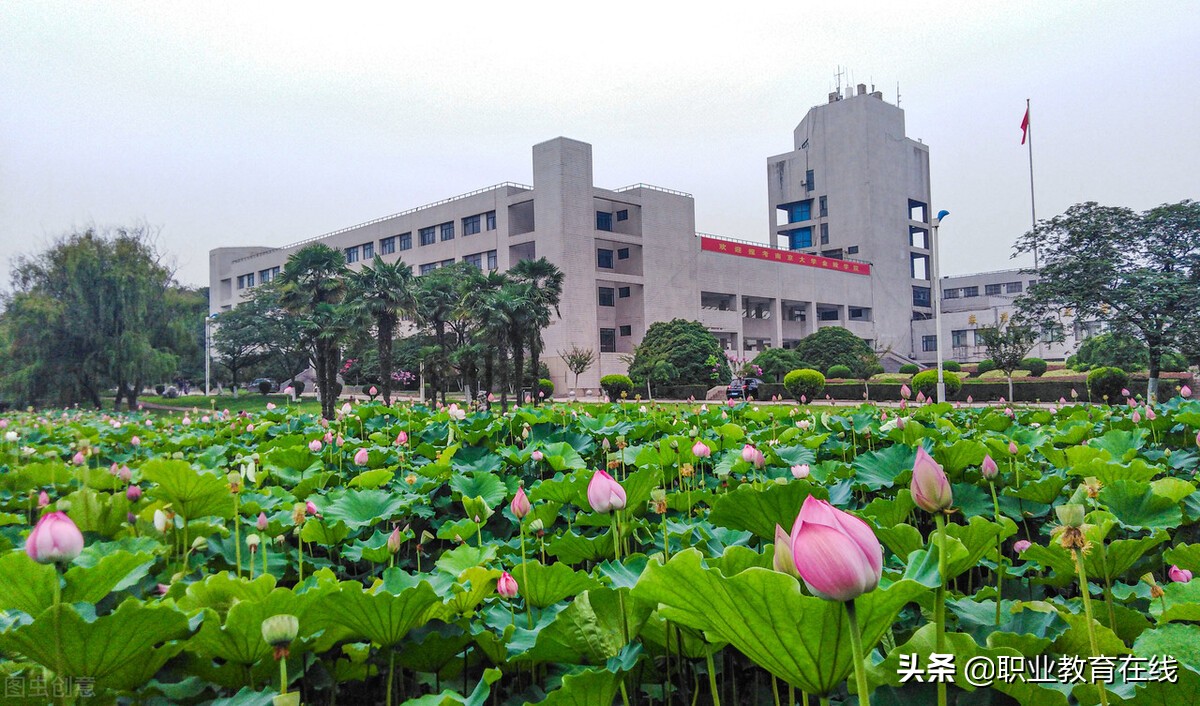 2022年最新大学名单发布，各省份大学数量有什么变化？