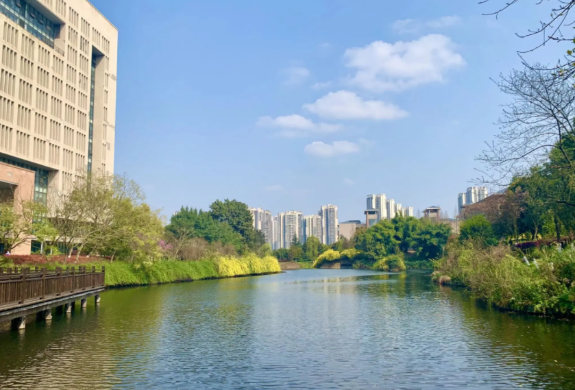 重庆本地一本、二本大学名单公布，以投档线为依据，真实可信