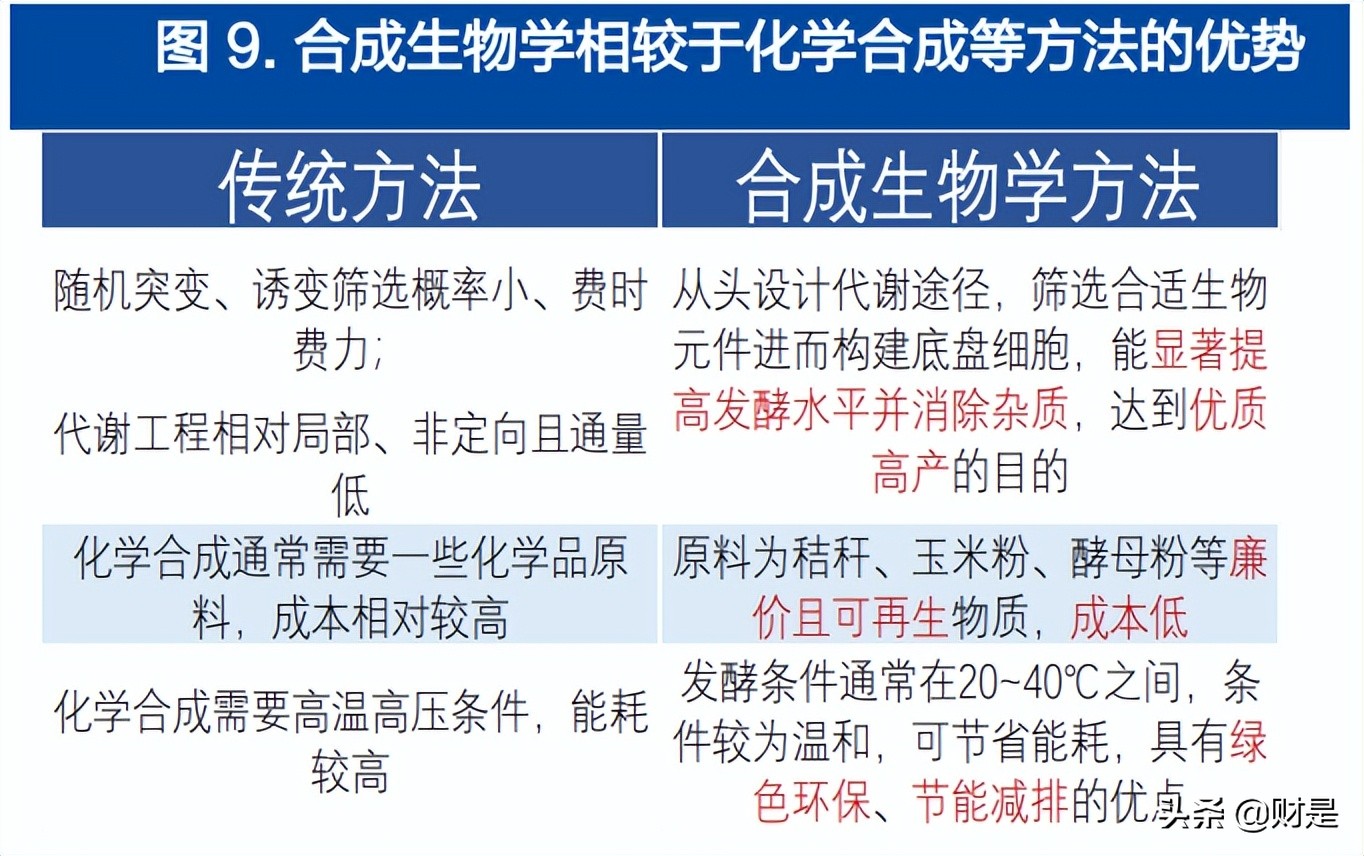 金城医药研究报告：生物合成与化学合成双平台能量开始爆发
