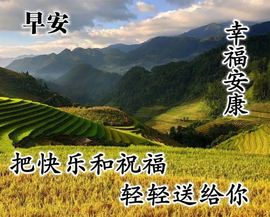 温馨的微信朋友圈早上好心情语录阳光句子 美好的今天掌握在你手里图片