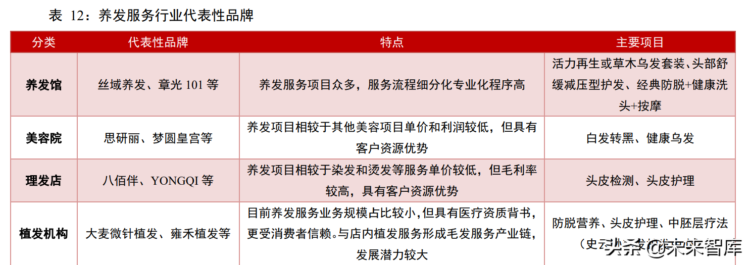 植发医疗行业专题报告：“头”等大事牵动千亿毛发市场