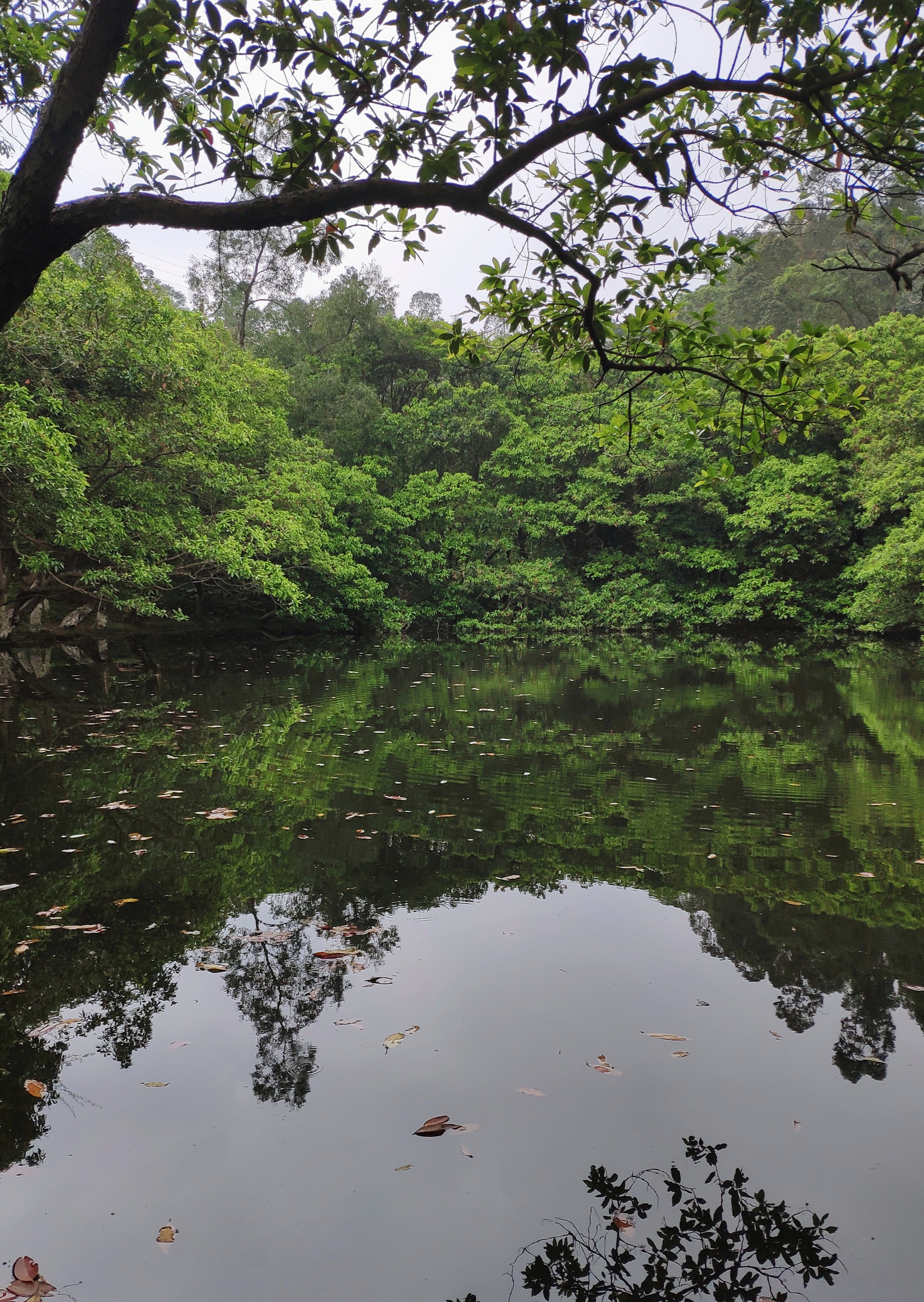 广州5个适合骑行又免费的扎营地