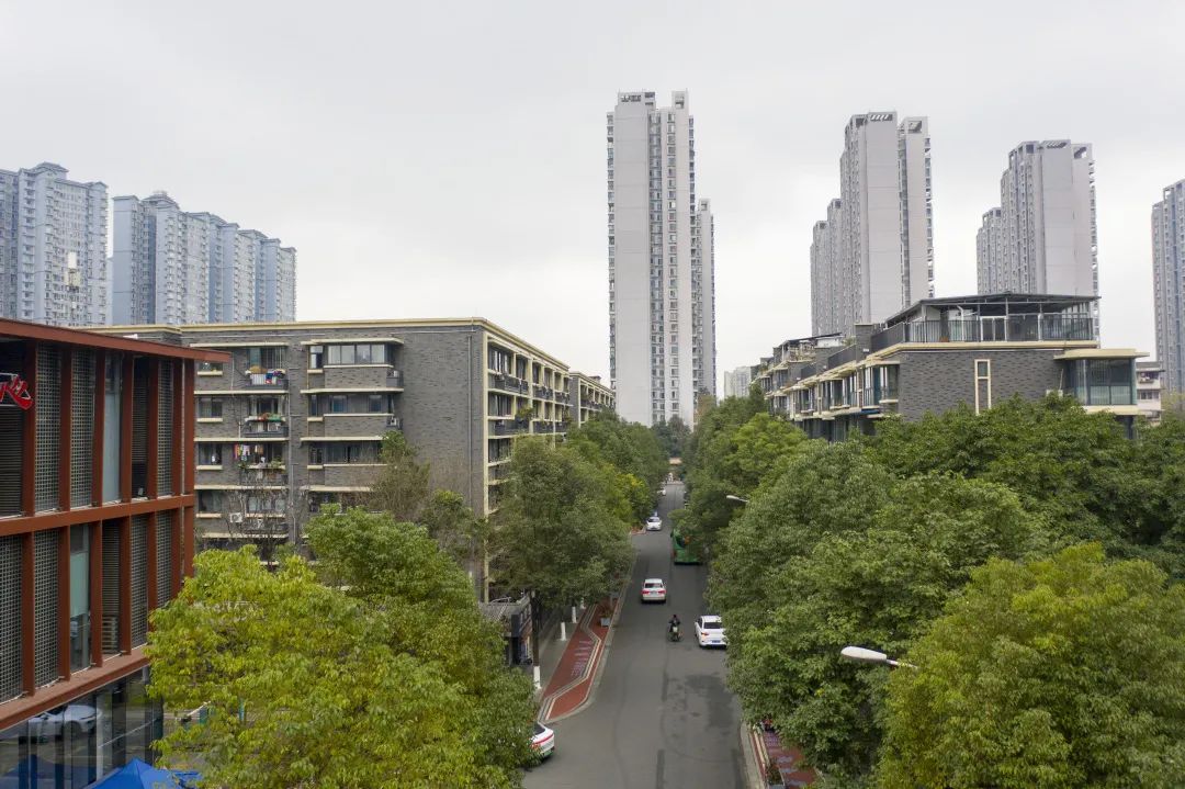 喜报 | 春风十里，请一起温柔地走进“最美街道”~