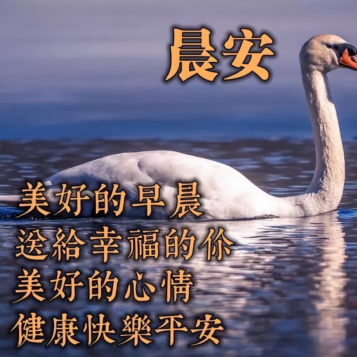 周二更新早上好表情包大全 平凡的生活就是幸福图片