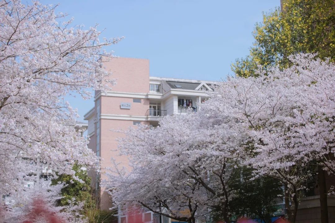 浙江大学考研壁纸图片