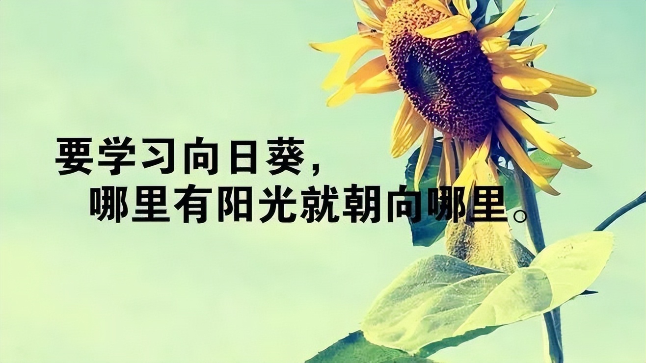 周二早上 早晨好暖心祝福语图片 成长是一种经历，成熟是一种阅历图片