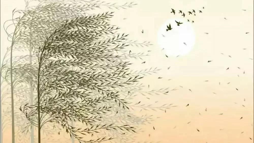 诗词鉴赏：《春望》唐——杜甫