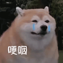 运动就能白赚保额的重疾！疾走豹1号来啦