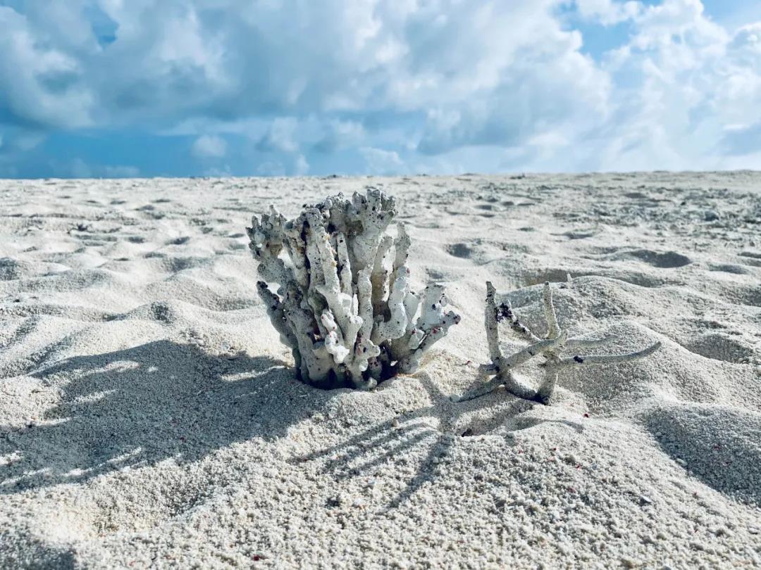 海南风光,海南风光图片