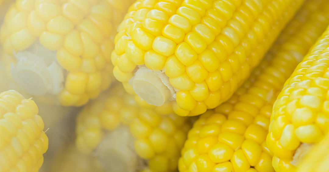 嘉宾商学吴婷对谈黄刚：返乡创业，把脸揣兜里