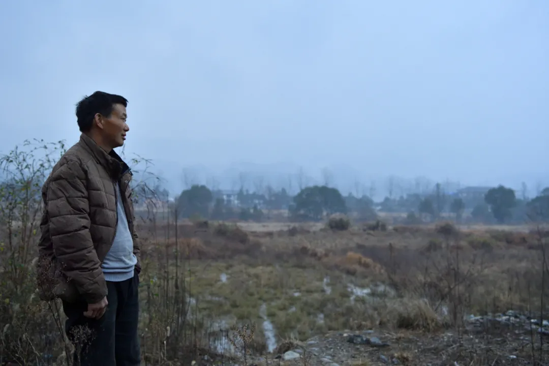 从乡村小学开始的“阅读复兴”