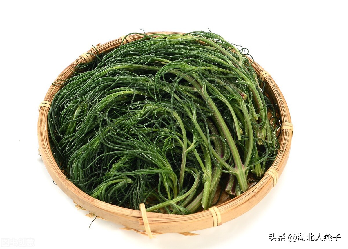 55种野菜大图片，带你见识不同的野菜和吃法，你想要的野菜这里有