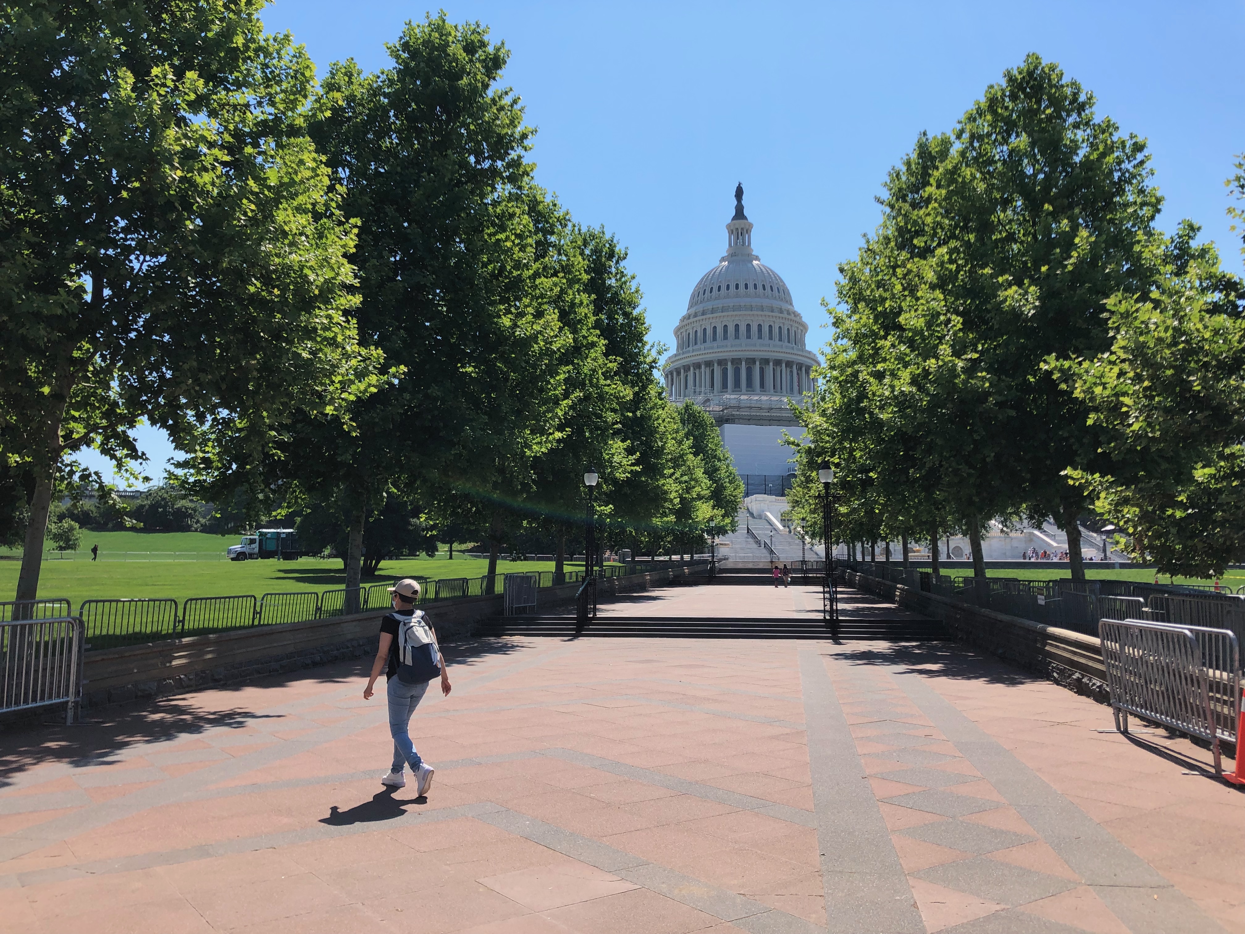 华盛顿的街道非常开阔,不论是行车道还是人行道都保养得极好,干净整洁