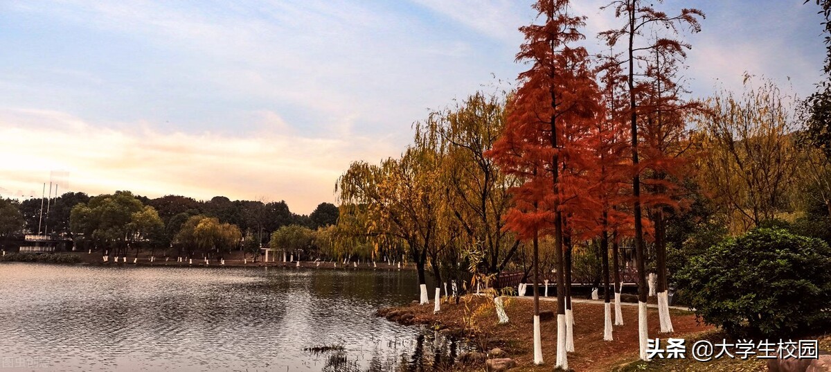 2022年湖南省大学排名一览表，找到你喜欢的学校了吗