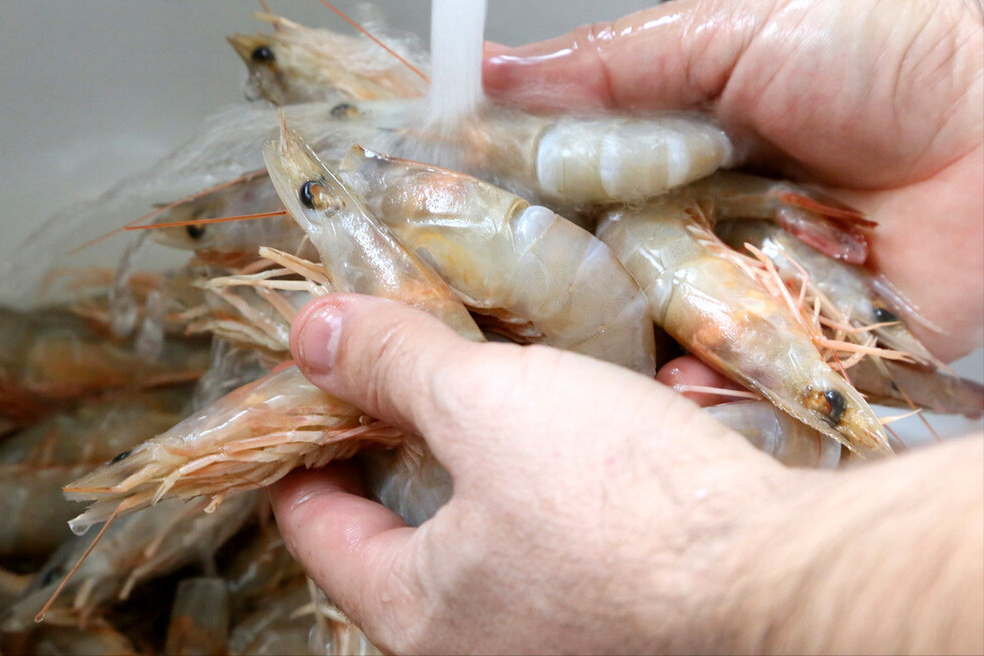 10分钟就能搞定的椒盐虾，酥脆入味连皮都能吃，年夜饭上记得做