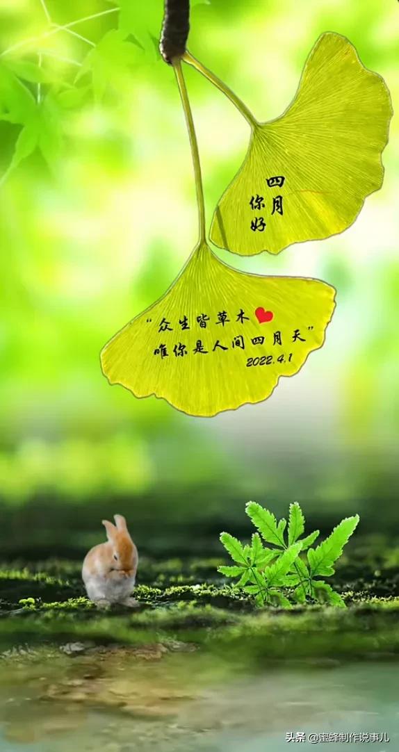 笑看花开，是一种美好的心情