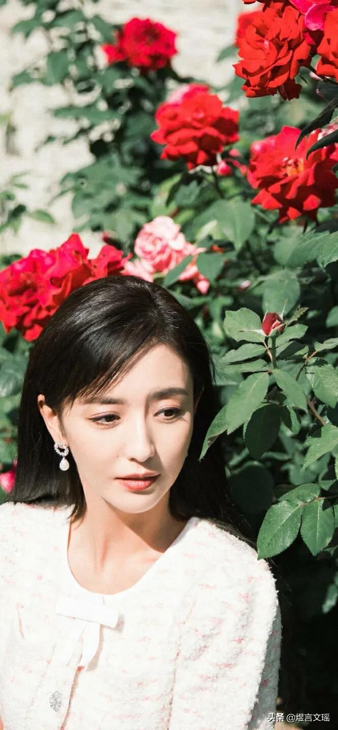 一日一星之佟丽娅