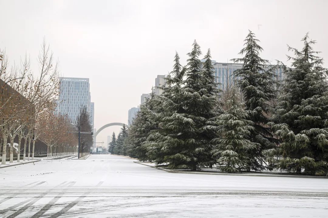 开年瑞雪，师大校园寂静如诗