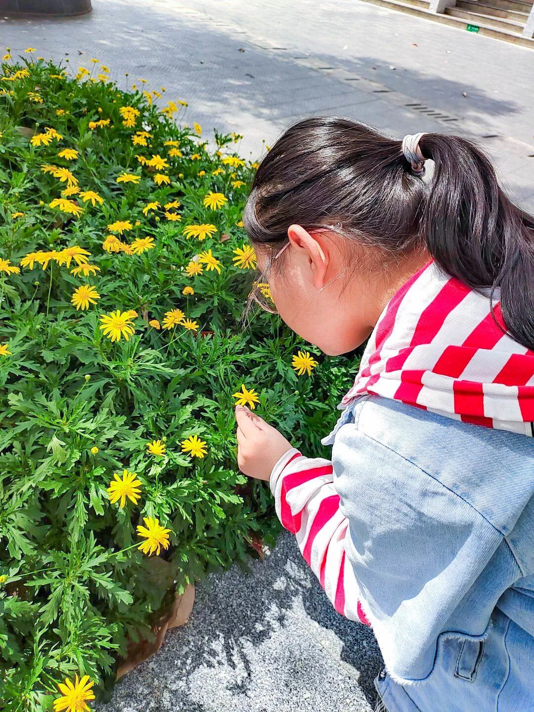 黄甲小学开展“人人参与科技节，我的科技节我做主”科技节活动