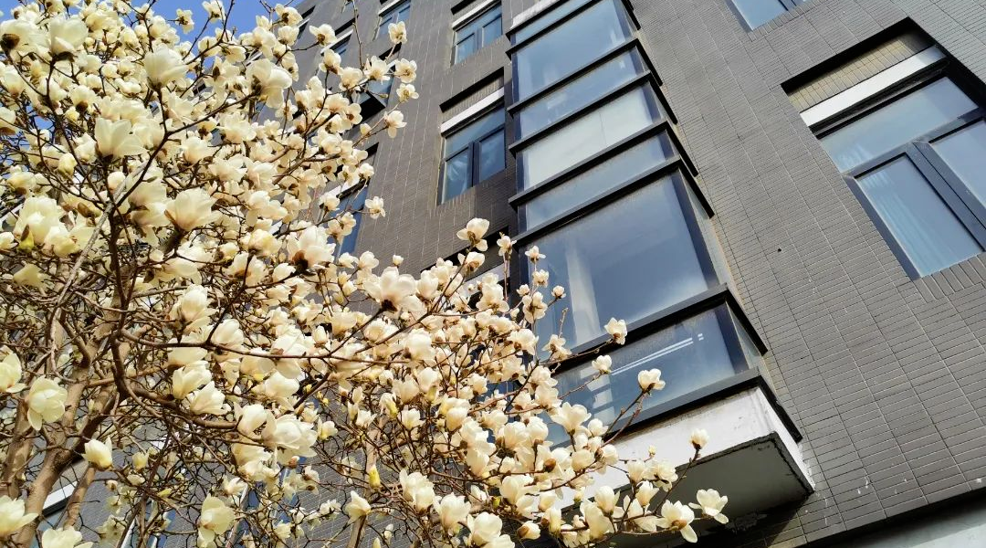 为什么可以报考河北师范大学？